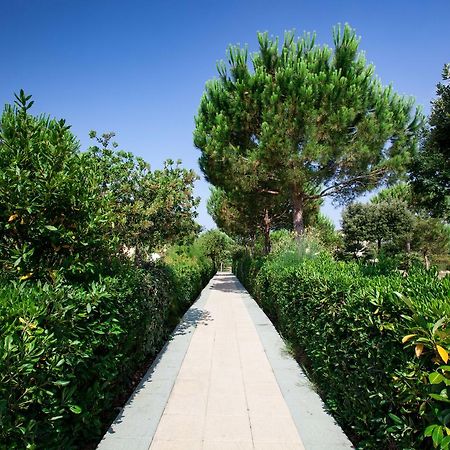 Residence Delle Gorette Marina di Cecina Ngoại thất bức ảnh